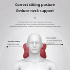 Audi Headrest & Lumbar Pillow